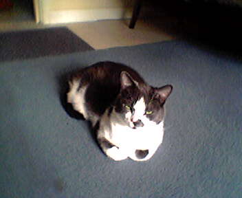 It's me again. For a large size picture of me, just click.